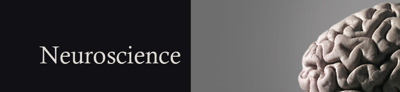 TODO: Replace with department name